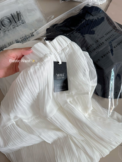 Drapey Mesh Pleated Long Skirt