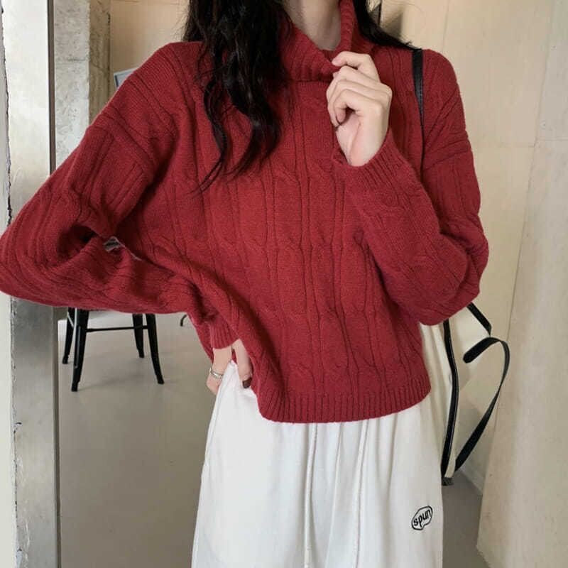Parisa High Neck Knitted Top