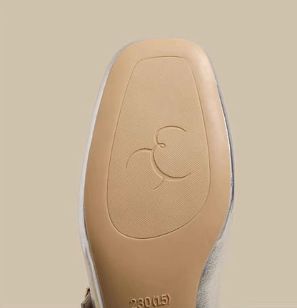 Silver Ballet Shoes
