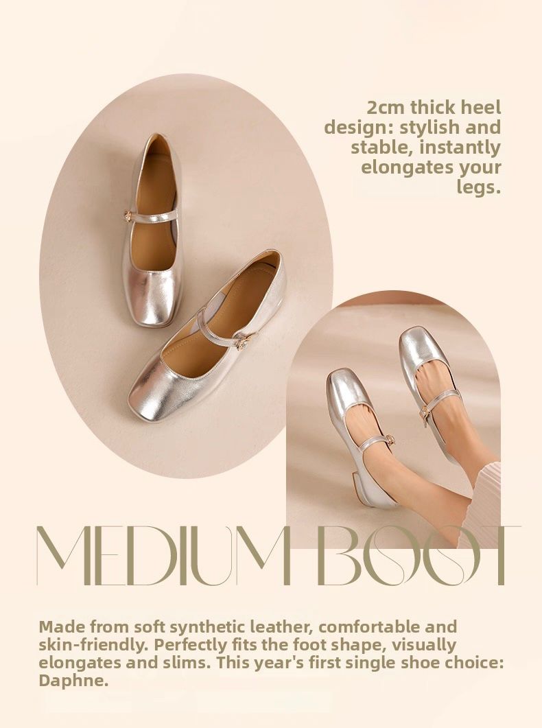 Silver Ballet Shoes