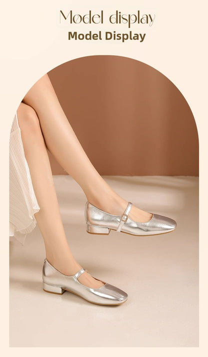 Silver Ballet Shoes