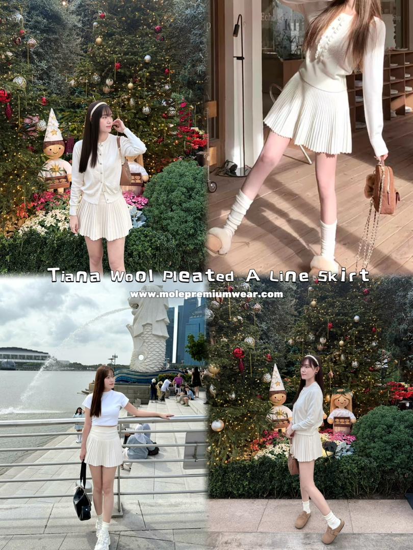Tiana Wool Pleated A Line Skirt