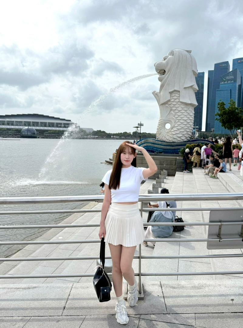 Tiana Wool Pleated A Line Skirt