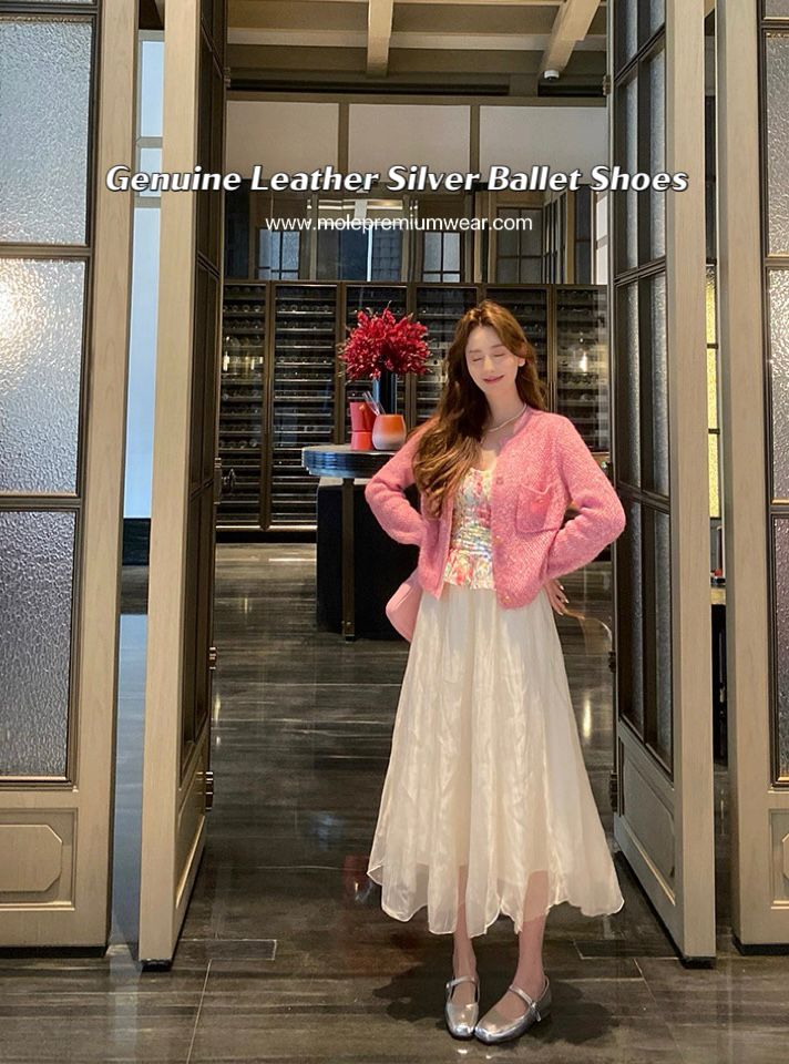 Silver Ballet Shoes
